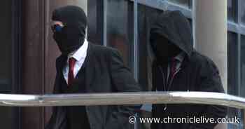 Man pleads not guilty to causing criminal damage to Sycamore Gap tree