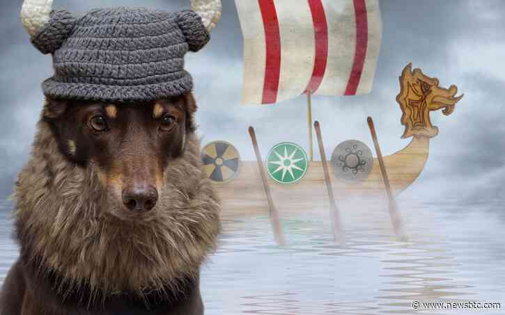 Floki Inu Moment Of Glory: Analysts Forecast Explosive 200% Rally