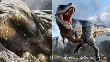 T.Rex was WARM-blooded! King of the Dinosaurs had the ability to internally generate heat - and was not cold-blooded like reptiles, study claims