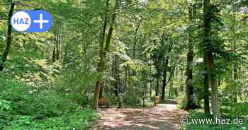 Hannover: Was über die verhinderte Vergewaltigung in der Eilenriede bekannt ist