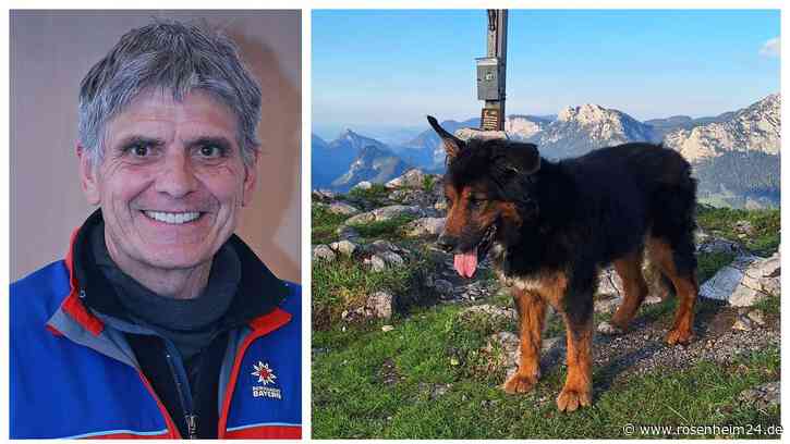 Keine Menschen, sondern Tiere: Notrufe über Hunde beschäftigen Bergretter zunehmend