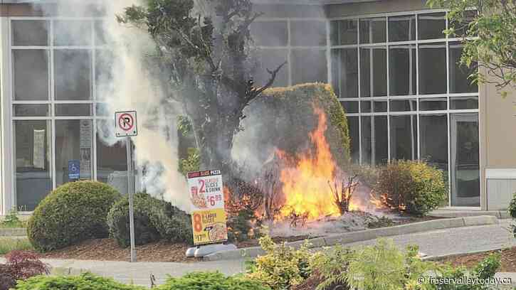Chilliwack Fire, RCMP dispatched for fire allegedly caused by man pushing a buggy