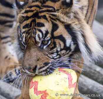 Easter fun on offer at Dudley Zoo during school holidays
