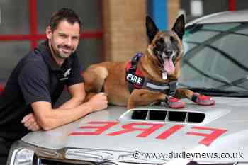 Much-loved West Midlands fire investigation dog dies