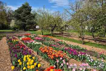 Toeren en Loeren bij zelfoogst-boeren