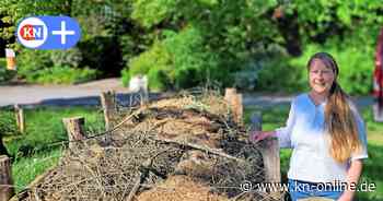 Bordesholm: Mehr Biodiversität hat schon für den ersten Alarm gesorgt