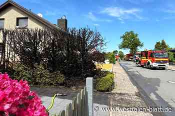 Hecke steht plötzlich in Flammen