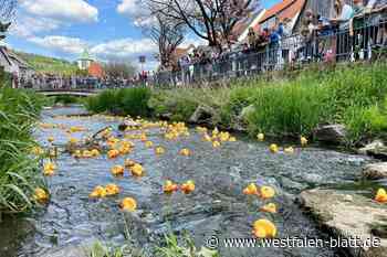 Entenrennen auf der Bever in Dalhausen ist beliebtes Familien-Event