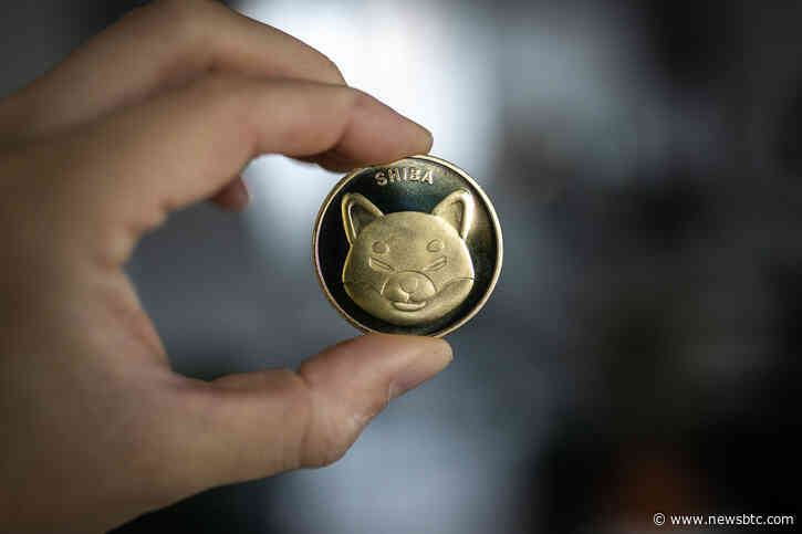 Analyst Predicts Shiba Inu to Soar 50% Amidst Meme Coin Market Rise