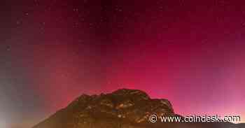 The Protocol: Lido Backers vs EigenLayer