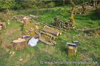 Group illegally light barbeque in Roddlesworth Woods