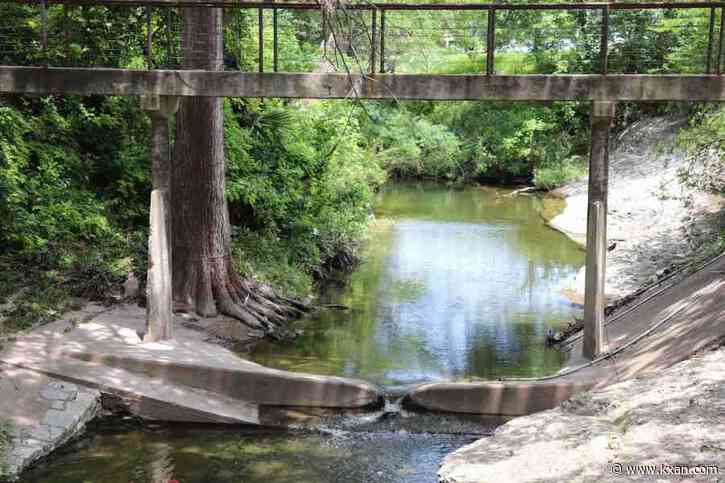 How leaky pipes help trees thrive on UT Austin's campus