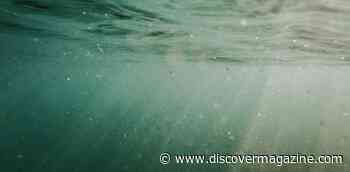 What Are Nanoplastics? An Engineer Has Concerns About Particles Too Small To See