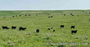AgSpire partners with South Dakota State University &amp; others to advance resilience on cattle ranches