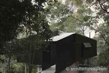 Tallowwood Cabin by Fouché Architects