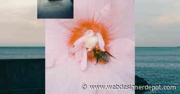 20 Best New Websites, May 2024