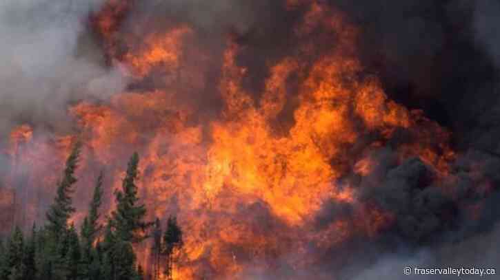 In the news today: Fort McMurray lessons learned, Admitted killer’s wife to testify