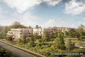 Afbraakwerken site Keirlandse Zillen van start: “Zillelande wordt één van de mooiste gebieden uit de Kempen”