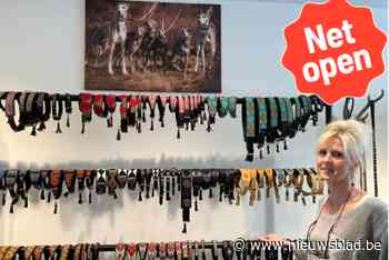 Tania opent Glamour Dogs en laat leibanden maken bij Masaï in Kenia: “Windhonden hebben echt jasje nodig”