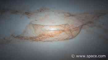 Dusty galaxy looks like a cosmic net in gorgeous new Hubble Telescope photo