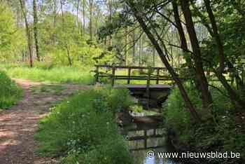 Acht nieuwe gravelroutes bieden fietsers een avontuurlijke tocht door natuur