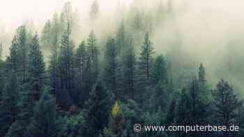 Microsoft: AI-Entwicklung lässt CO2-Ausstoß um 30 Prozent ansteigen