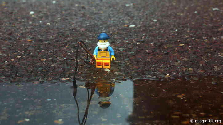 Informationsfreiheit: „Die Regierung selbst hat kein Interesse an Transparenz“