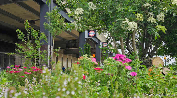 London’s Pocket Parks: Hatton Cross tube station, TW6