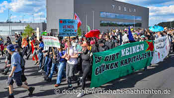 Tesla-Gerichtsurteil: Baumhäuser im Camp gegen Tesla dürfen vorerst stehenbleiben