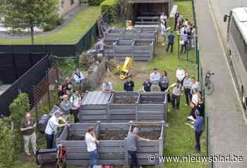 Internationale belangstelling voor lokaal wijkcomposteringsproject:  “Hopelijk wordt ons model in heel wat Europese landen uitgerold”