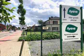 Dieven stelen BMW die te koop stond op straat in Riemst