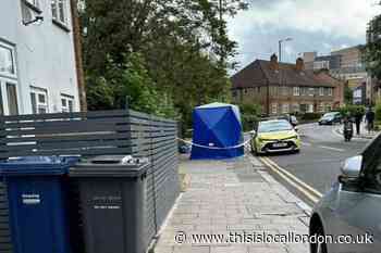 Colindale Avenue: Police find  man dead near scaffolding