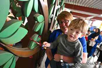 Ook Wervik heeft nu een tutjesboom: “Zou passen in de Efteling”