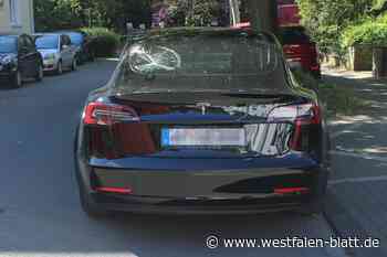 Radfahrer kollidiert mit Tesla