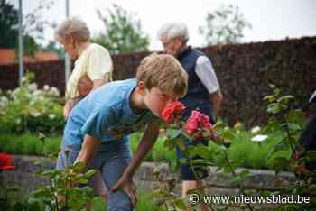 Jaarlijkse Rozenfeest strijkt neer in Rivierenhof