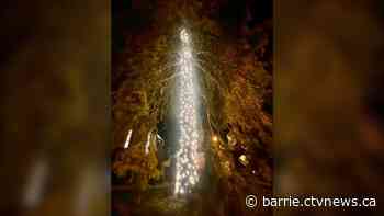Orillia's famous yuletide tree has exited the city