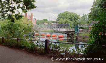 Petition to salvage plans for wild swimming park in East London reaches 10,000 signatures
