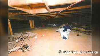 Kidnapped by her father and kept in a crawl space: Court documents reveal Montreal horror story