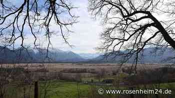 Tödlicher Ausflug: Münchner Familienvater (41) stirbt nach Insektenstich