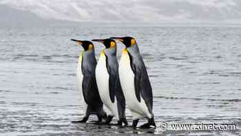 The top three Linux 6.9 kernel upgrades