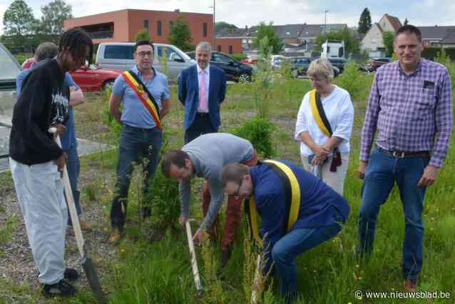 Skatepark klaar tegen herfstvakantie