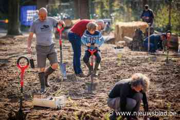 Stad ontvangt bronzen boslabel voor aanplanten van 2,54 hectare bos: “Dit najaar komt er nog extra bos bij”
