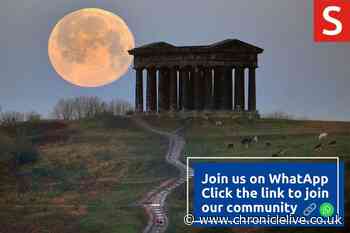 Join our WhatsApp community for Sunderland news sent direct to your phone