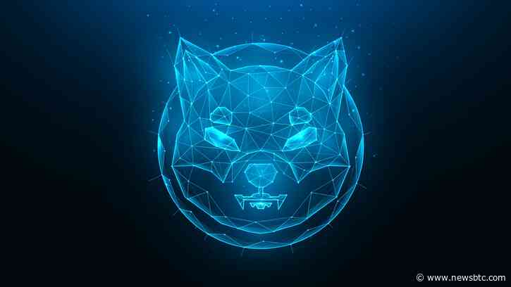 Shiba Inu Price Makes Decisive Move: Is Now The Ideal Time To Buy?