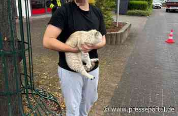 FW Ense: Zweimal Katzen-Rettung innerhalb von 5 Tagen durch die Feuerwehr Ense