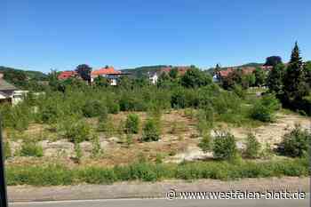 Bauantrag für weiteren Supermarkt in Halle gestellt