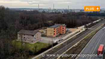 Rekordzahlen: Fledermäuse leben in Ulm nicht nur im "Geisterhaus"
