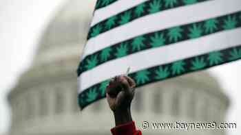 Biden officially announces move to reclassify marijuana: 'This is monumental'