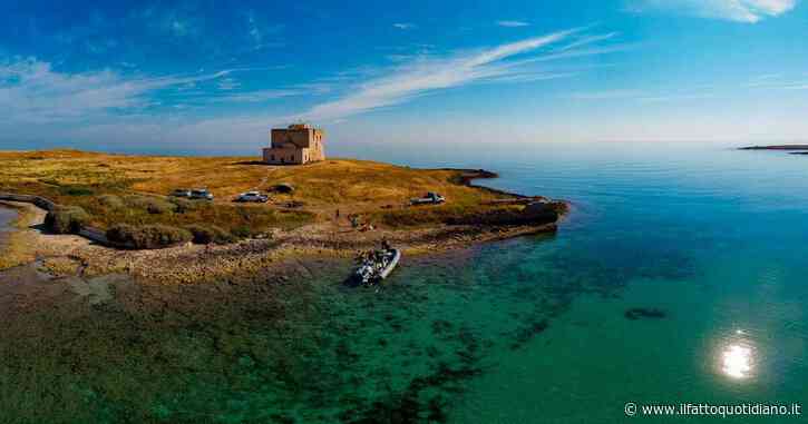 Nella riserva di Torre Guaceto 12 mesi di stop alla pesca: “Venti anni di sostenibilità a rischio per i ‘pirati’ del frodo. Li combatteremo così”