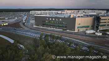 Tesla: Gemeinde Grünheide stimmt für Ausbau des Werks